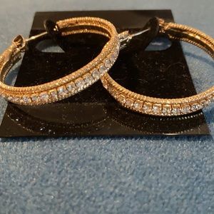 Medium Sized Crystal Hoop Earrings